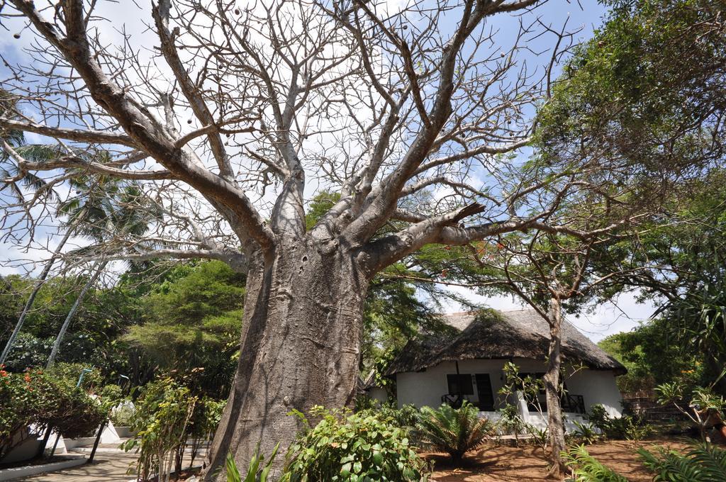 Baobab Sea Lodge Kilifi Exterior photo